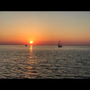 Meet your Posher, Reese